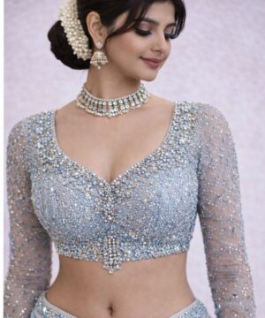 Ice Blue Heavy Stone Work Designer Blouse